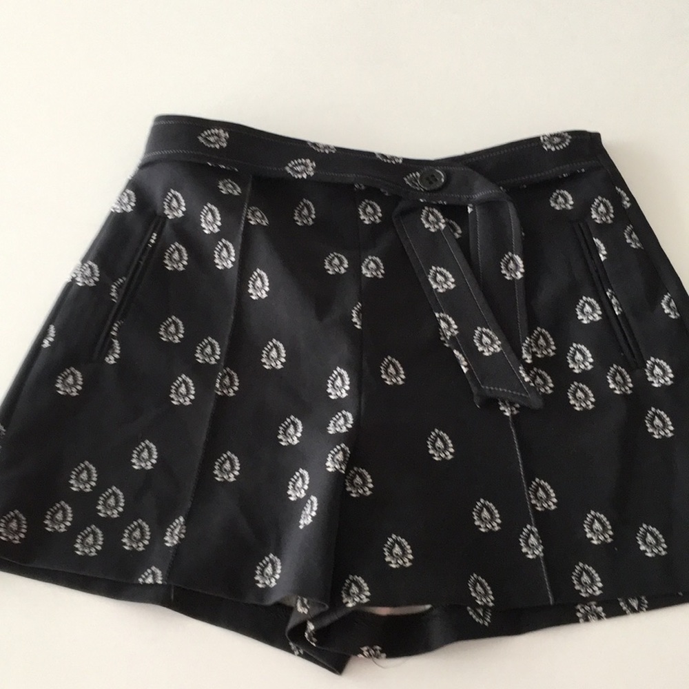 Cute Dressy Zara shorts